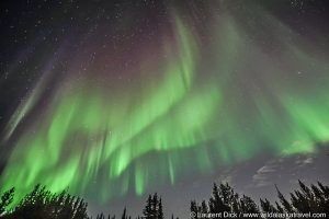 2025 Alaska Northern Lights Tour - Wild Alaska Travel