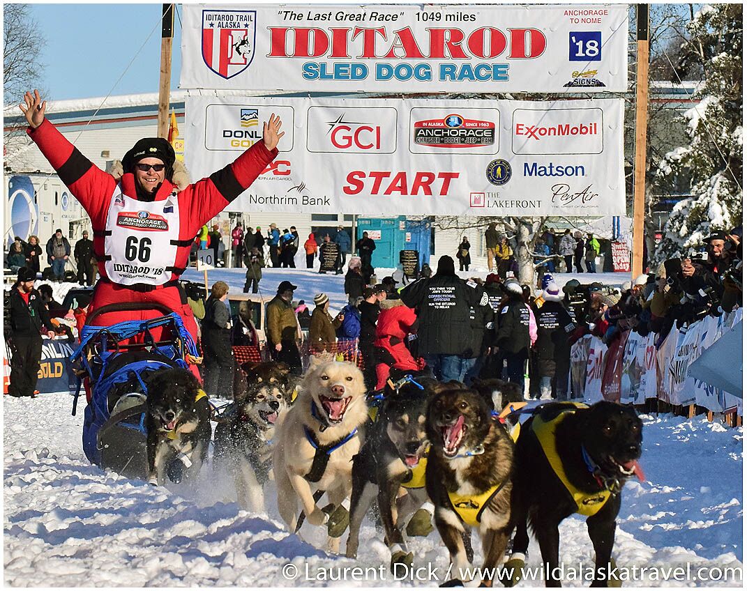 Iditarod Tour Iditarod 2026 Start Tour